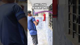 Trying Canelo head movement drills at home boxing shorts yt canelo canelochavez [upl. by Raseac]