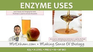 Enzymes  Commercial Uses  Post 16 Biology A Level PreU IB AP Bio [upl. by Irrol441]