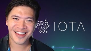 What is IOTA in a Nutshell [upl. by Eceerehs935]