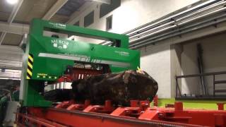 MEBORS BIGGEST BAND SAW FOR LARGE LOGS HTZ 1400 SP EXTREME 19 testing video [upl. by Atteynek]