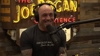 JRE MMA Show 111 with John Danaher [upl. by Nnyleahs]