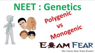 NEET Biology Genetics  Polygenic vs Monogenic Polygenic and Environment [upl. by Nehemiah]