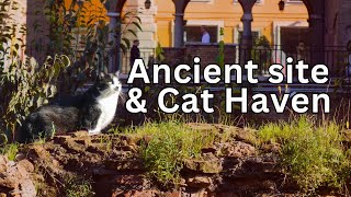 Romes cat sanctuary and Ancient Largo Argentina [upl. by Ecyoj521]