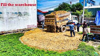 New project of filling land to build warehouse By Bulldozer and Dump Trucks 5Ton [upl. by Ahselat411]