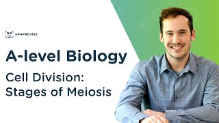 Cell Division Stages of Meiosis  Alevel Biology  OCR AQA Edexcel [upl. by Noryk972]