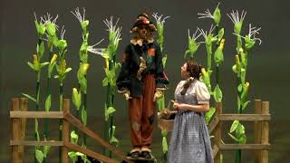 the wizard of Oz scarecrow dance and talking about oz [upl. by Oramlub]