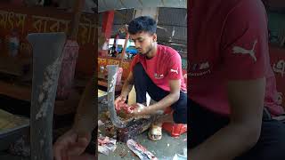 বড় মাছ কাটার ভিডিও tarvel in marketfish marketfish market videofish cuttinglocal market [upl. by Rekrap420]