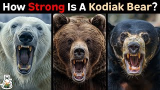 How Strong is a Kodiak Bear Compared to Other Bears [upl. by Alliber635]