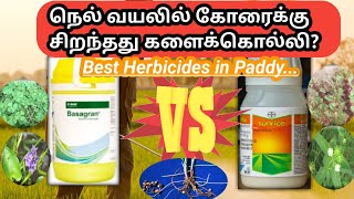 நெல் வயலில் சிறந்த களைக்கொல்லி எது  Best herbicides in paddy crop  edges  Broad leafs [upl. by Damal18]