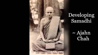 Ajahn Chah  Developing Samadhi One Pointedness  Theravadin Buddhism Forest Tradition [upl. by Asirem]