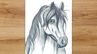 How to Draw a Horse Head Step by Step  Realistic Animal Drawing [upl. by Terti]