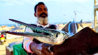 Houndfish Cutting  Fish Cutting Skills Sri Lanka [upl. by Aetnuahs]