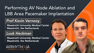 Performing AV Node Ablation and LBB Area Pacemaker Implantation  Prof Kevin Vernooy amp Luuk Heckman [upl. by Cain]