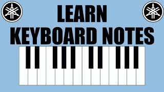 How to Play the G Major Chord on Piano and Keyboard [upl. by Rehpatsirhc]