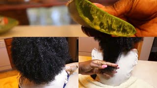 HOW TO MAKE ALOE VERA SPRAY FOR CHILD’s DRY HAIR MOISTURIZER [upl. by Essiralc]