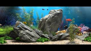 3D Fish Aquarium  219 Live Wallpaper  1080p [upl. by Ddot246]