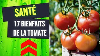 Transformez Votre Santé avec Ces 17 Bienfaits de la Tomate 🍅  tomate grappe [upl. by Nichols]