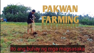 PAKWAN FARMING  LIFE IN THE PROVINCE [upl. by Kele]