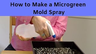 How to Make a Microgreen Mold Spray [upl. by Meridith]