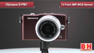 Entry Level Mirrorless Cameras [upl. by Elwina]