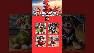 Spiderman and Dog or Wonder Woman and Dog cat marvel dog quiz kitten avengers puppy shorts [upl. by Lebasile658]