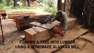 Turning a tree into lumber using a homemade Alaskan Mill [upl. by Aisemaj]