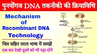 recombinant DNA technology in hindi  application of recombinant dna technology  biology ScienceSK [upl. by Eelyk711]