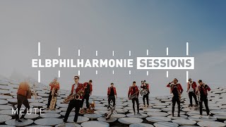 Elbphilharmonie Sessions  MEUTE live on the Rooftop [upl. by Nirrad]