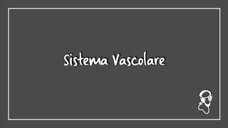 Sistema Vascolare [upl. by Evatsug]