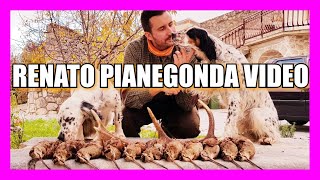 LE BECCACCE DI RENATO PIANEGONDA The Best Woodcock Hunting Videos [upl. by Randolf]