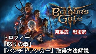 （テロップ解説あり）【バルダーズゲート３（Baldurs Gate3）】トロフィー『怒りの拳』『パンチドランカー』取得方法解説（初見難易度：戦術家） [upl. by Arze]