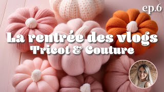 ✏️ Rentrée des Vlogs ep6  Mon atelier et astuces de rangement 🧶 [upl. by Arlena]