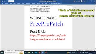 How TO use Bulk Image Downloader Without Key Free Setup Filee [upl. by Gerlac380]