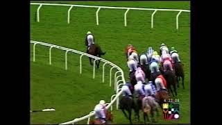 2002 Grand Annual Challenge Cup Handicap Chase [upl. by Obbard166]