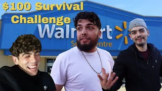 Walmart Survival Challenge 100 Budget [upl. by Sukcirdor]