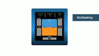 COMPASS TEST FOR PILOTS [upl. by Ronyam]