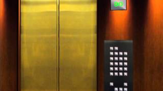 OTIS elevator at upper offices in Triton center III [upl. by Ayotnom]