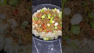 GROUND BEEF RICE RECIPE [upl. by Releehw422]