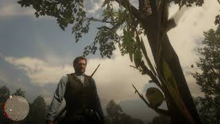 High Honor Cheat Max Honor Level  Red Dead Redemption 2 Cheats [upl. by Snook]