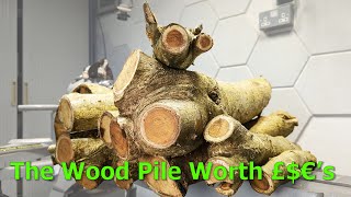 The £700 Wood Pile My Laburnum Processing Journey [upl. by Clite]