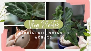 VLOG l Soins Jardinerie et achats [upl. by Gunn673]