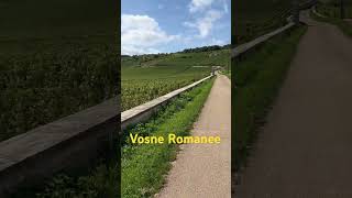 20240910Vosne Romanee DRC 頂級葡萄園 [upl. by Drarej]