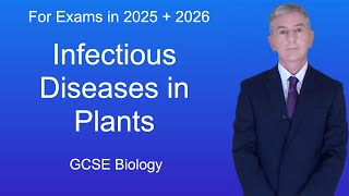 Classification and Structure of Fungi Fungal Infections  Lesson 1 [upl. by Rozanne]