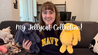 My ENTIRE Jellycat Collection  taycollects [upl. by Lennon]