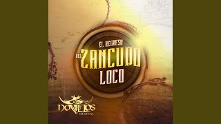 El Regreso Del Zancudo Loco [upl. by Eelek]