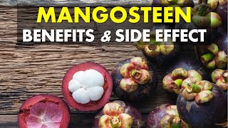 Mangosteen Benefits and Side Effects Mangosteen Is An Exotic Fruit [upl. by Friedberg]