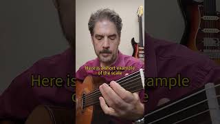 The Hungarian minor scale on the fretless guitar [upl. by Arly]