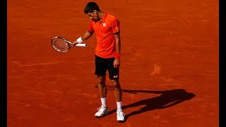 Did Djokovic Quit 2017 French Open QF [upl. by Eisnil883]