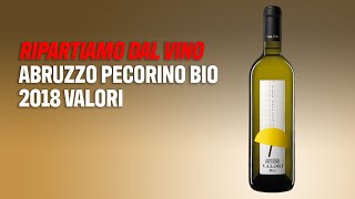 Ripartiamo dal vino Abruzzo Pecorino Bio 2018 Valori [upl. by Ycnej]