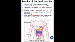 Function of the Small Intestine  Digestion and Absorption Class 11 NCERT shorts neet [upl. by Relyat]